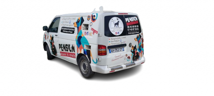 vehicule-pension-chien-chat-79