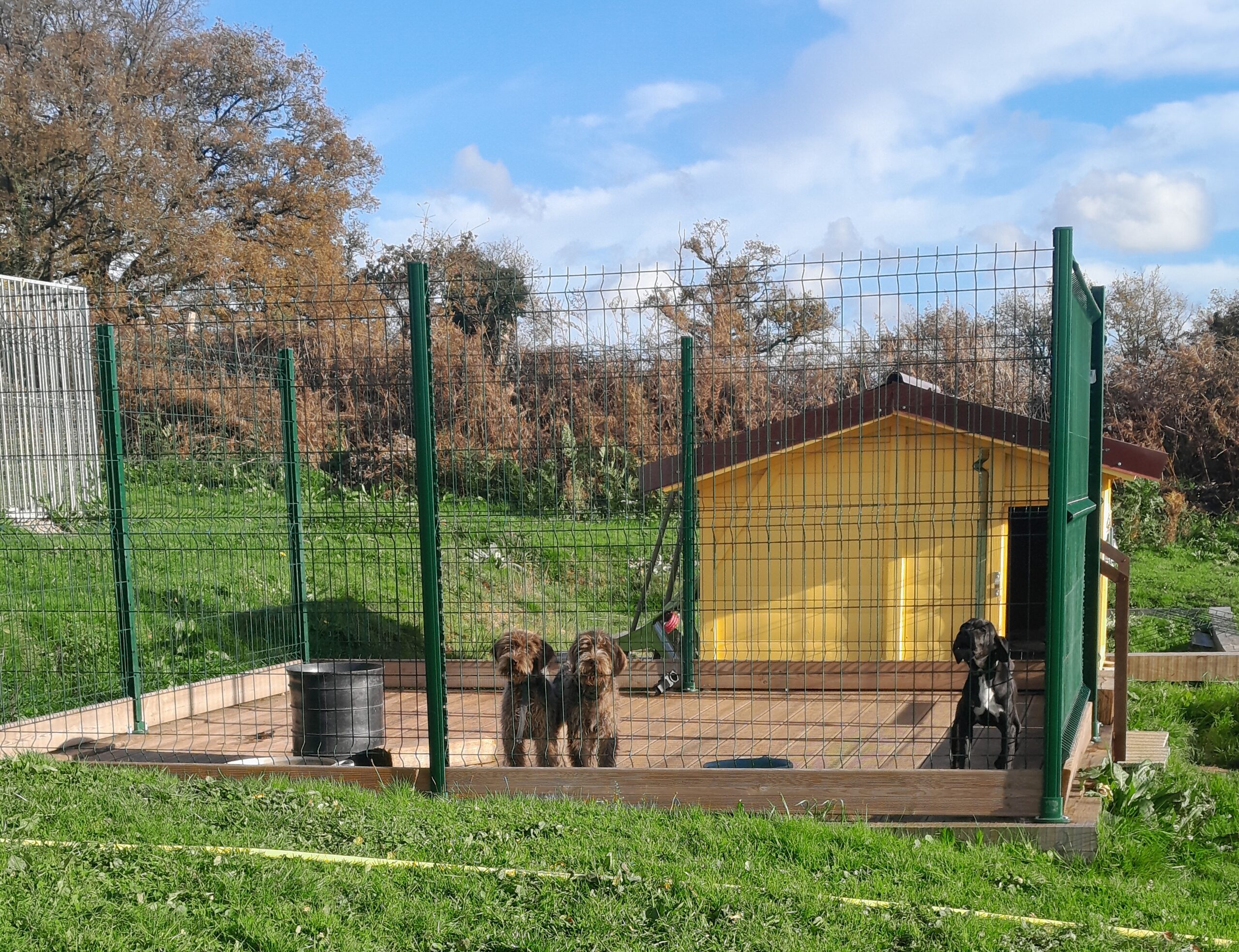 Box pension chien 79